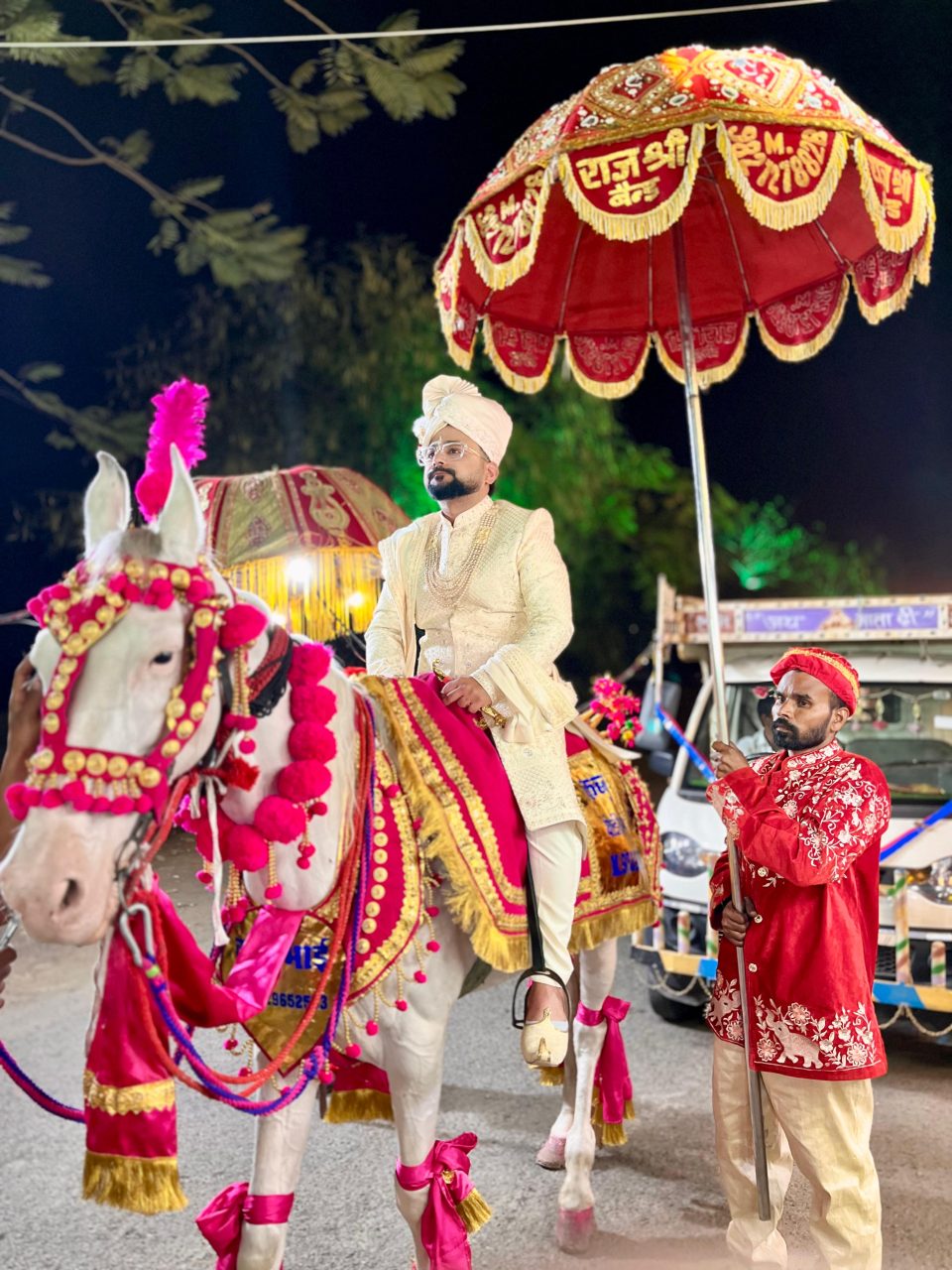 Rajputana Ghodi